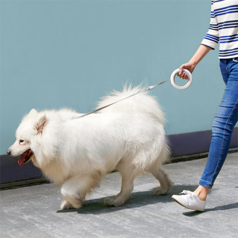 MOESTAR UFO Retractable Dog Leash White